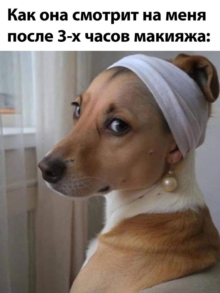 ePHv8QhxyFasQO-tDup8wFZmPTwbIxgo3TcB6GztywaPbShnvLKz-e2hcP-x1LQYlFPANMSpqIE9Hu4qMquI9ZRU.jpg