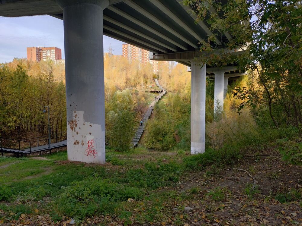 20241003_173209727.JPG
