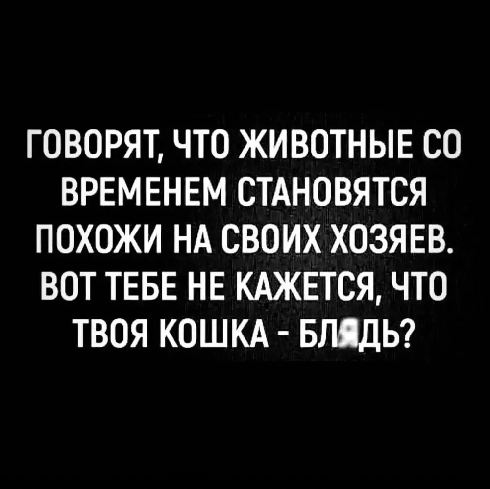 5SvgJHdxhLIH-JUFaYswrd2eMnKMDaRCFRslGxFA5T-_QLW6QPaZIaD7DK9DnpjiWiWQO_nDY4yrfpnhcXiqKW9l.jpg