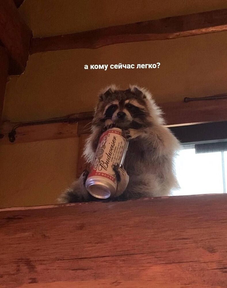niE3MQ1GAXU.jpg
