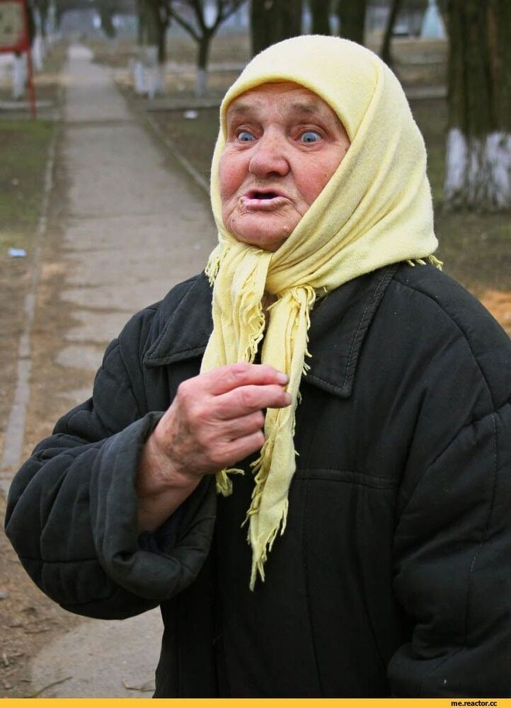 12557742.jpeg