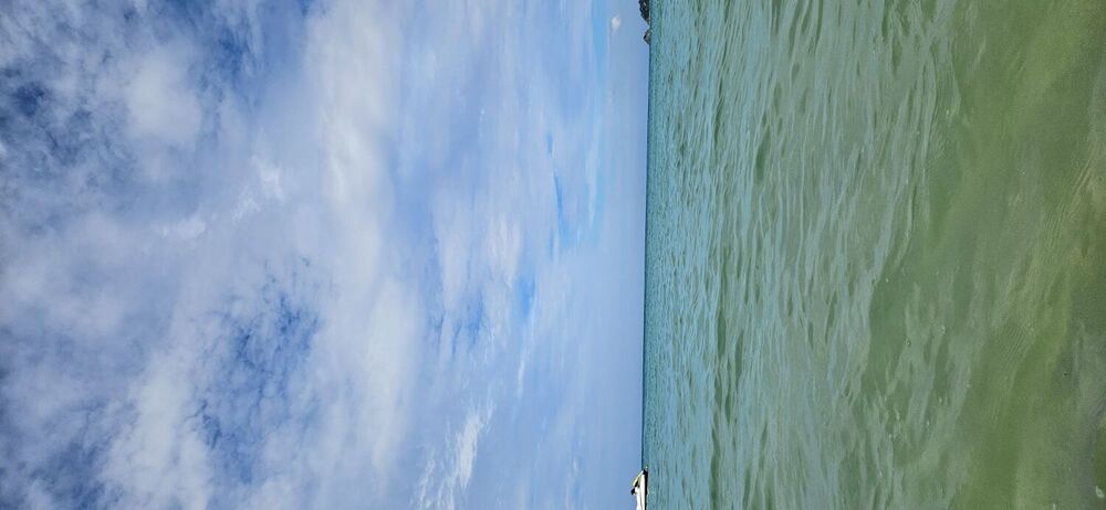 20241130_093919.jpg