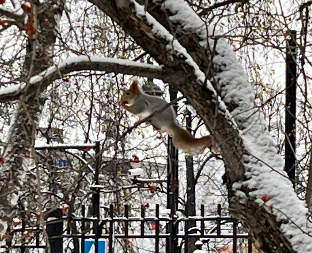 IMG_4433.jpeg