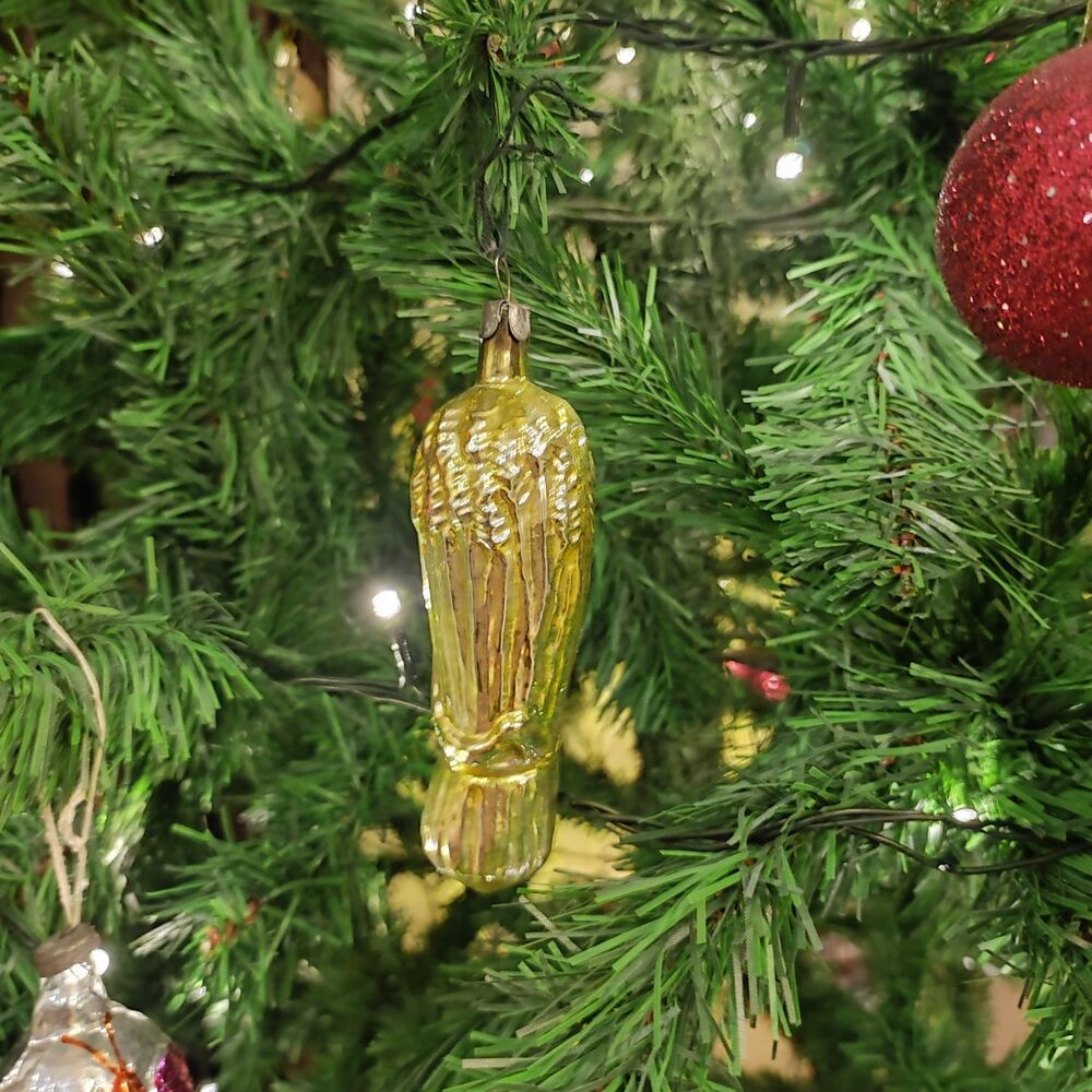 IMG_20241215_201123.jpg