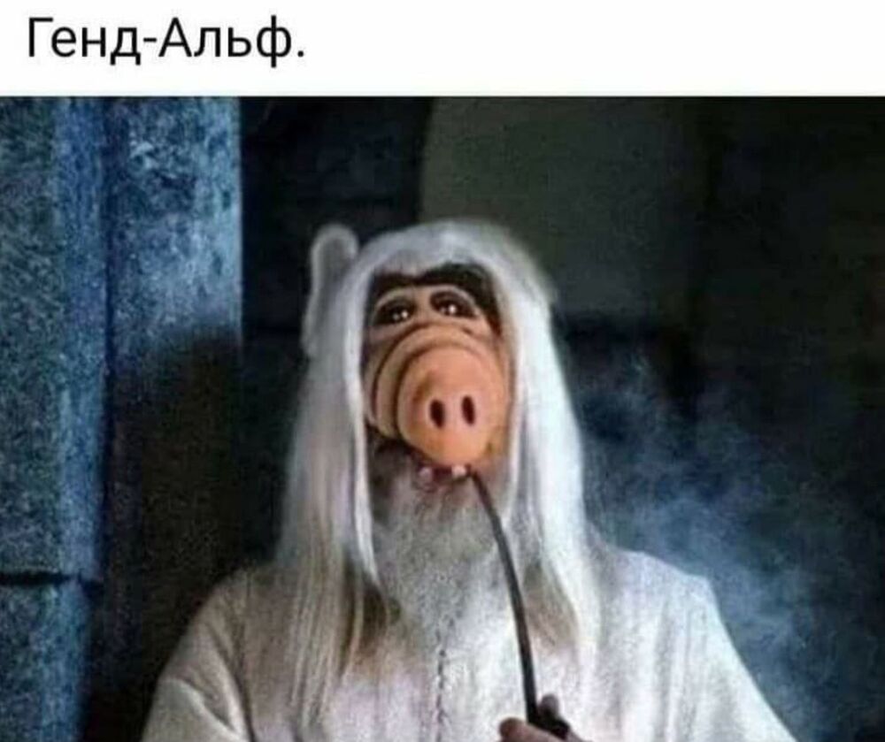 pp-2hitmzLPeGLQf7Tf_JAvPKg9d4j-BawxCkXtHWJpby8d2QVLIzVr3uyuRx61eAGDJwMMEEabwO-3TDiwuKEuC.jpg