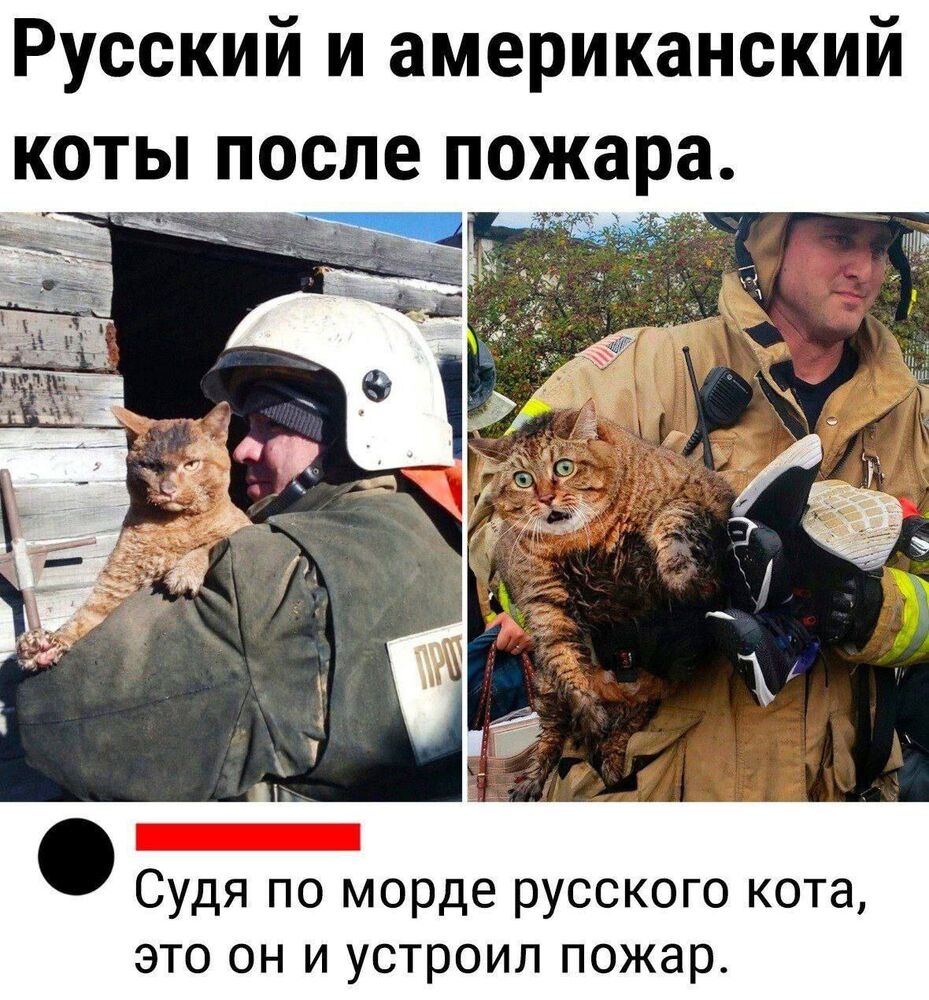 8D7EBB75-59E4-481E-9B54-B81B71620438.jpeg