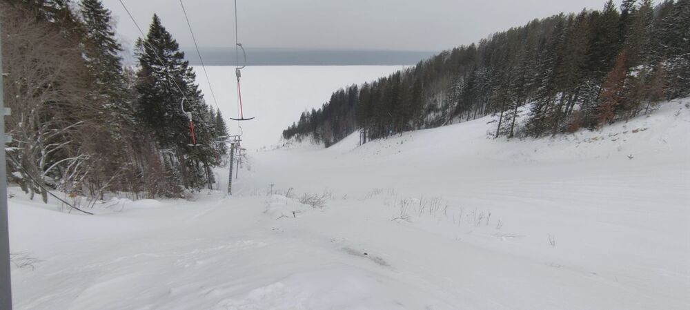 IMG_20250215_122547.jpg