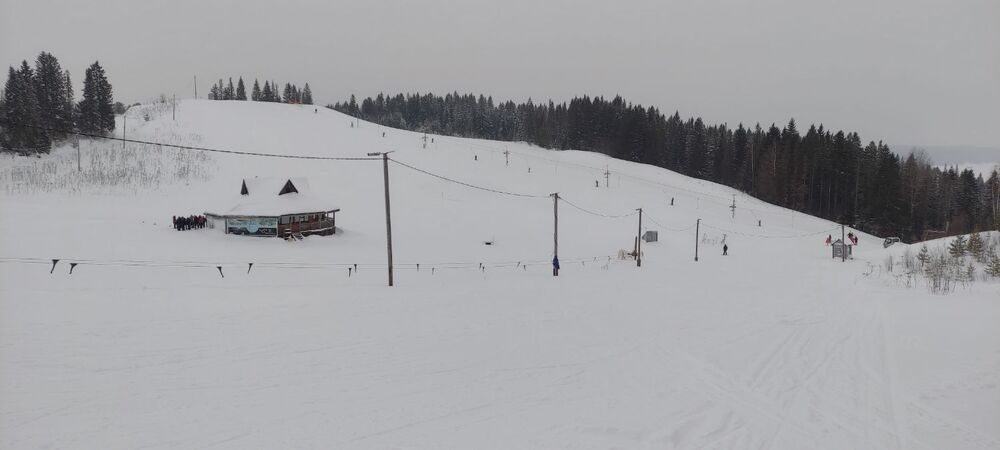 IMG_20250215_122924.jpg