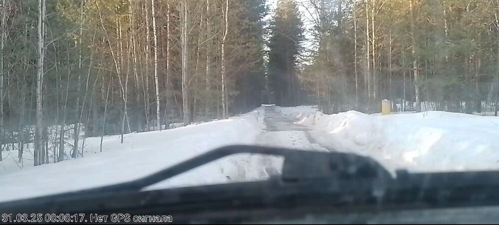 снег в лесу на дороге.jpg