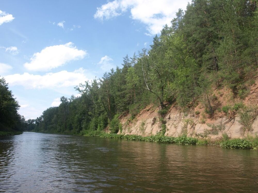 P1019042_r.JPG