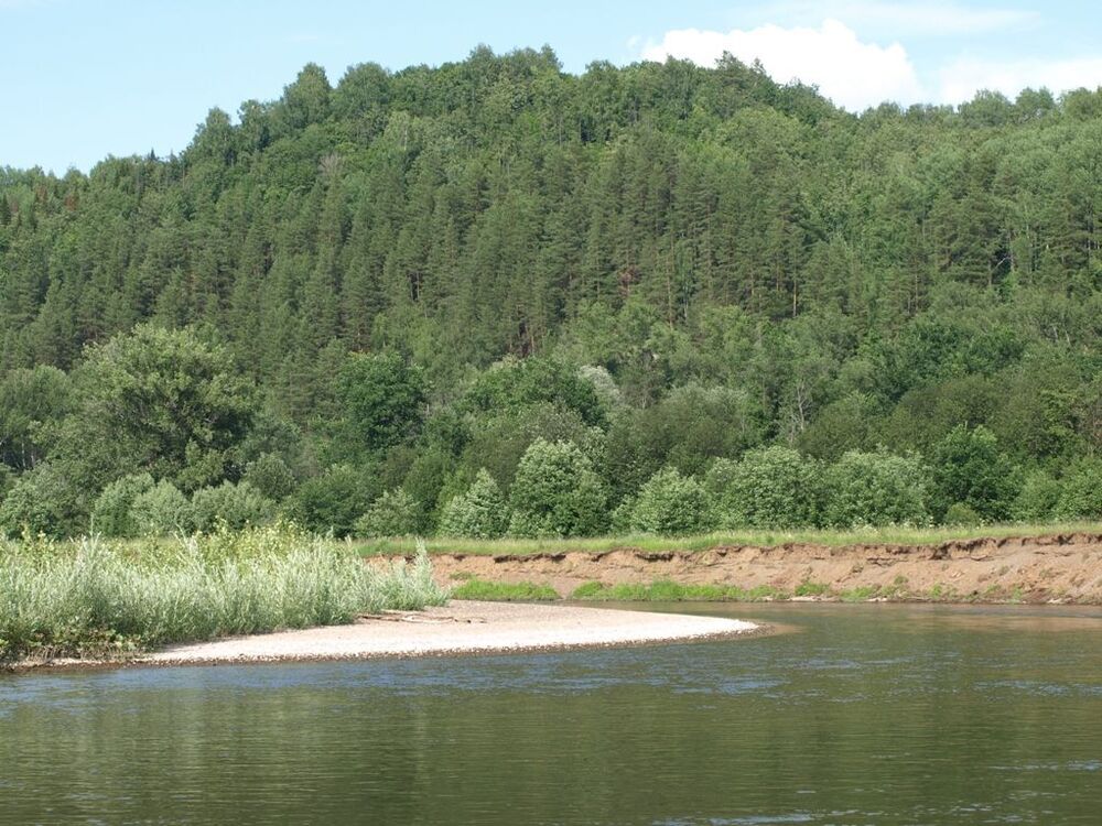 P1019045_r.JPG