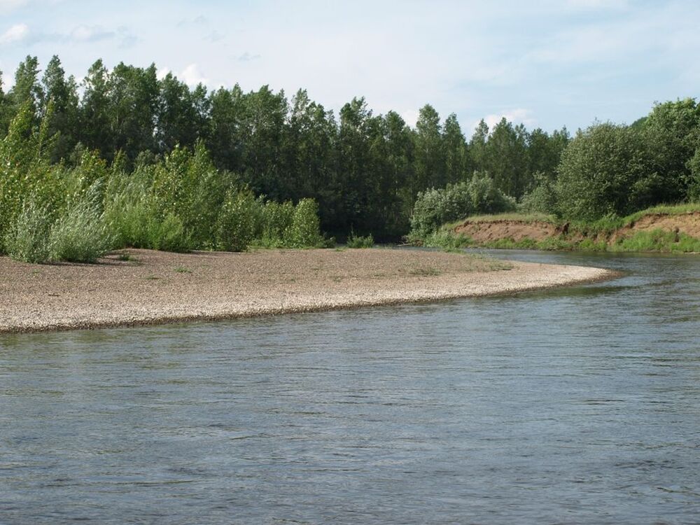 P1019046_r.JPG