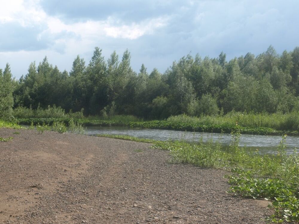 P1019050_r.JPG