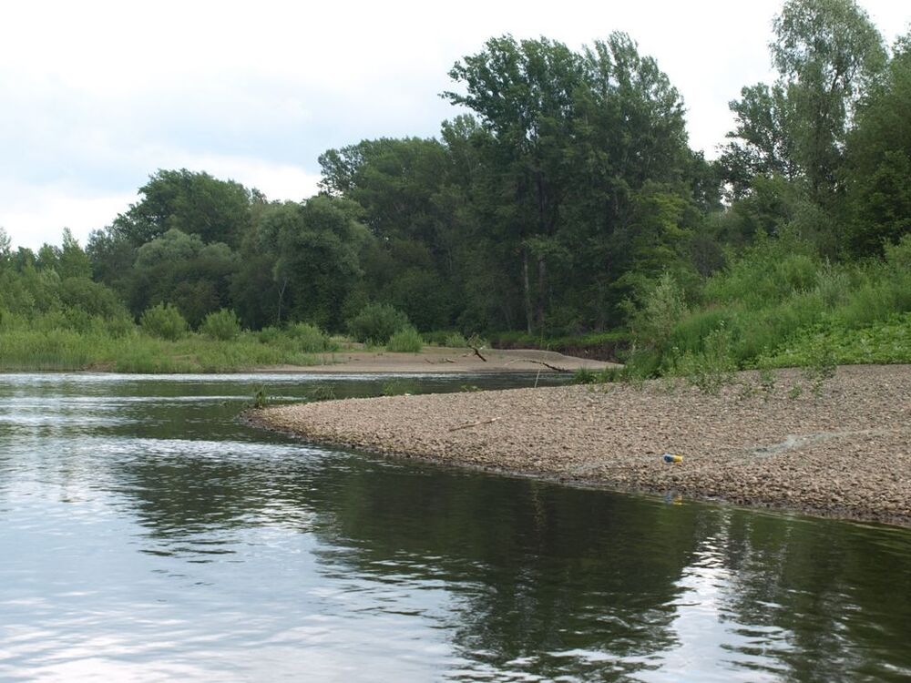 P1019084_r.JPG