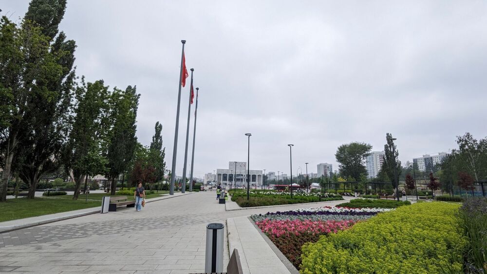 PXL_20250614_073314796.jpg