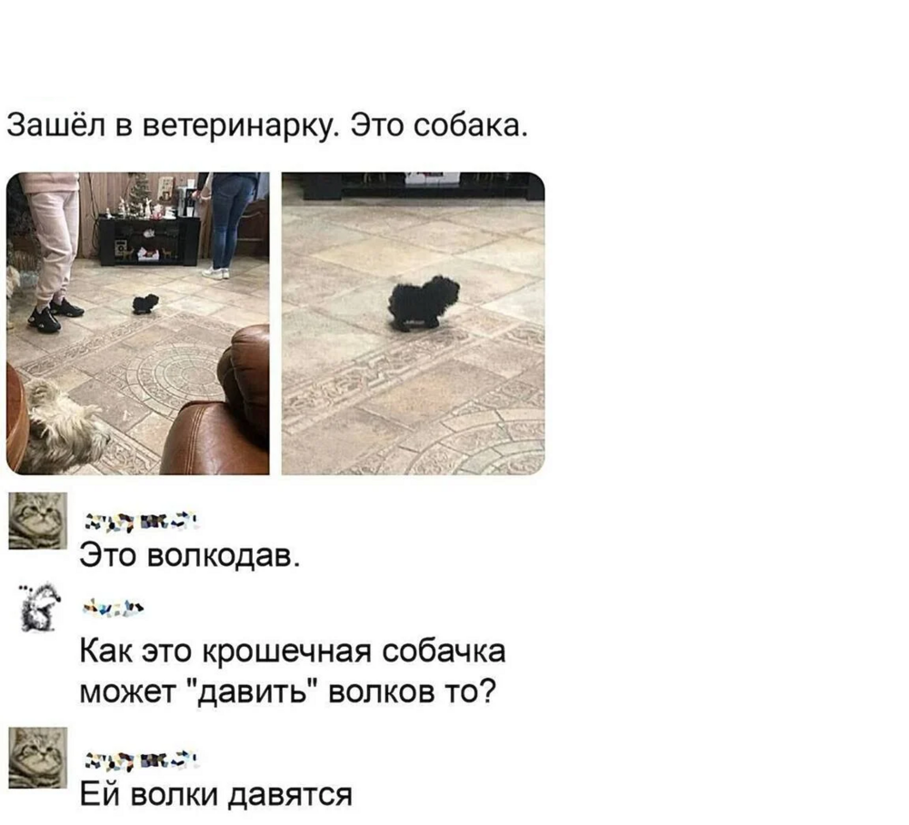 image.png.67306975d859779b666dad6012f27a44.png