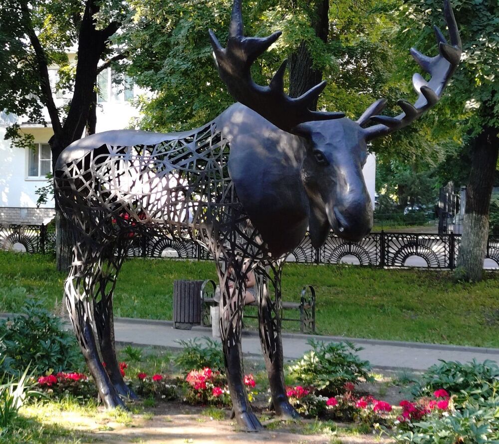 20250729_170500358.JPG