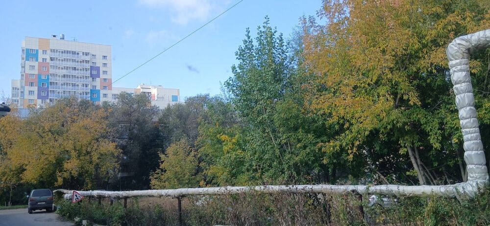 20250923_124451.jpg
