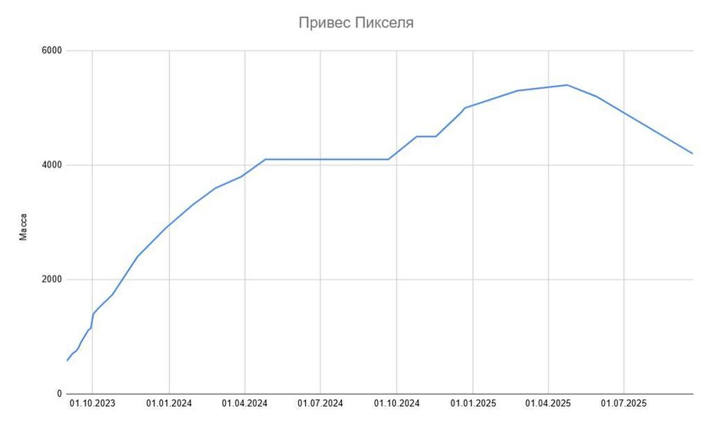 Снимок.JPG