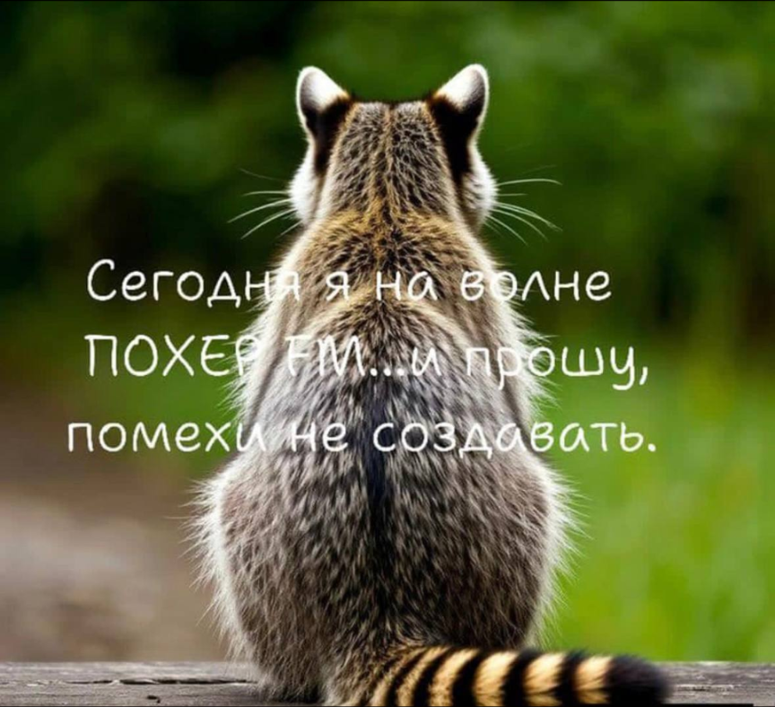 overview_image_258110007_548014.png