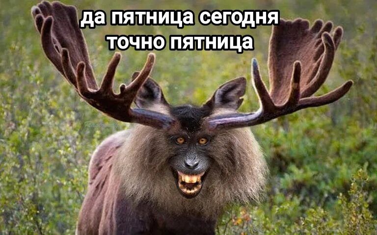 IMG_20251030_192931.jpg