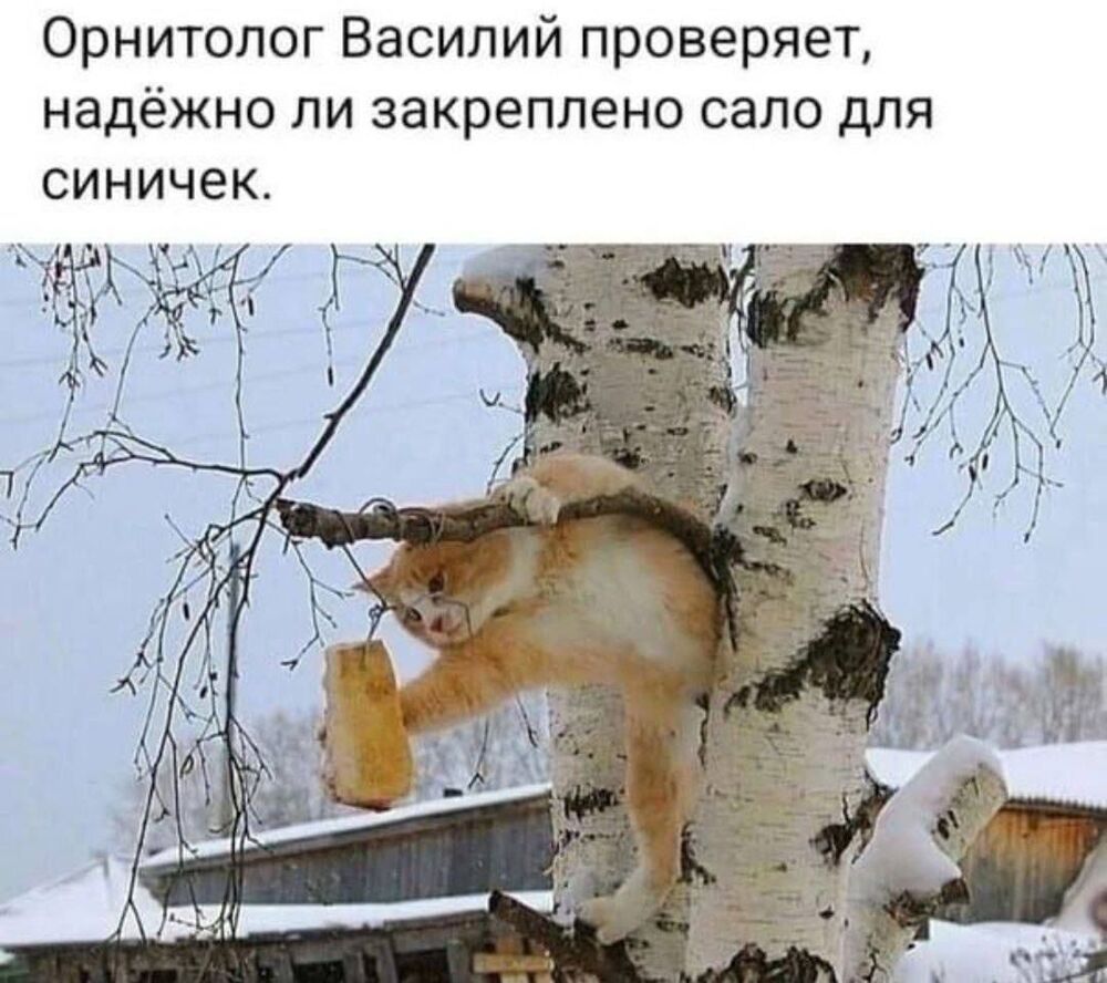 3txZMIlCTaPtib7PXAwpc6Whq0L8785Y3Epv3noxvDoNgSLK2CzKKGKxUN8BzCWZHI8v9pWZsCMaz--i5XlPF_BB.jpg