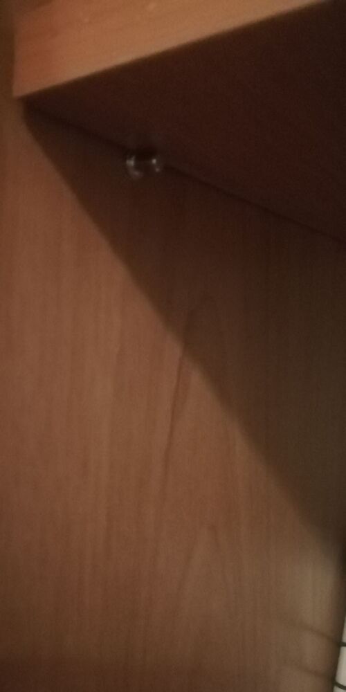 IMG_20251109_153424.jpg