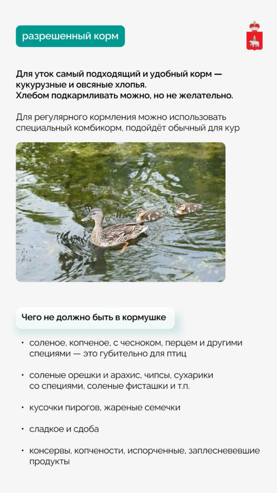 IMG_20251110_082258.png