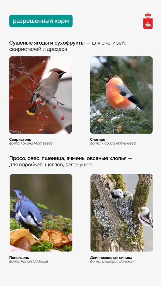 IMG_20251110_082303.png
