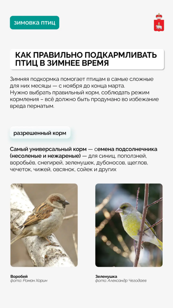 IMG_20251110_082309.png