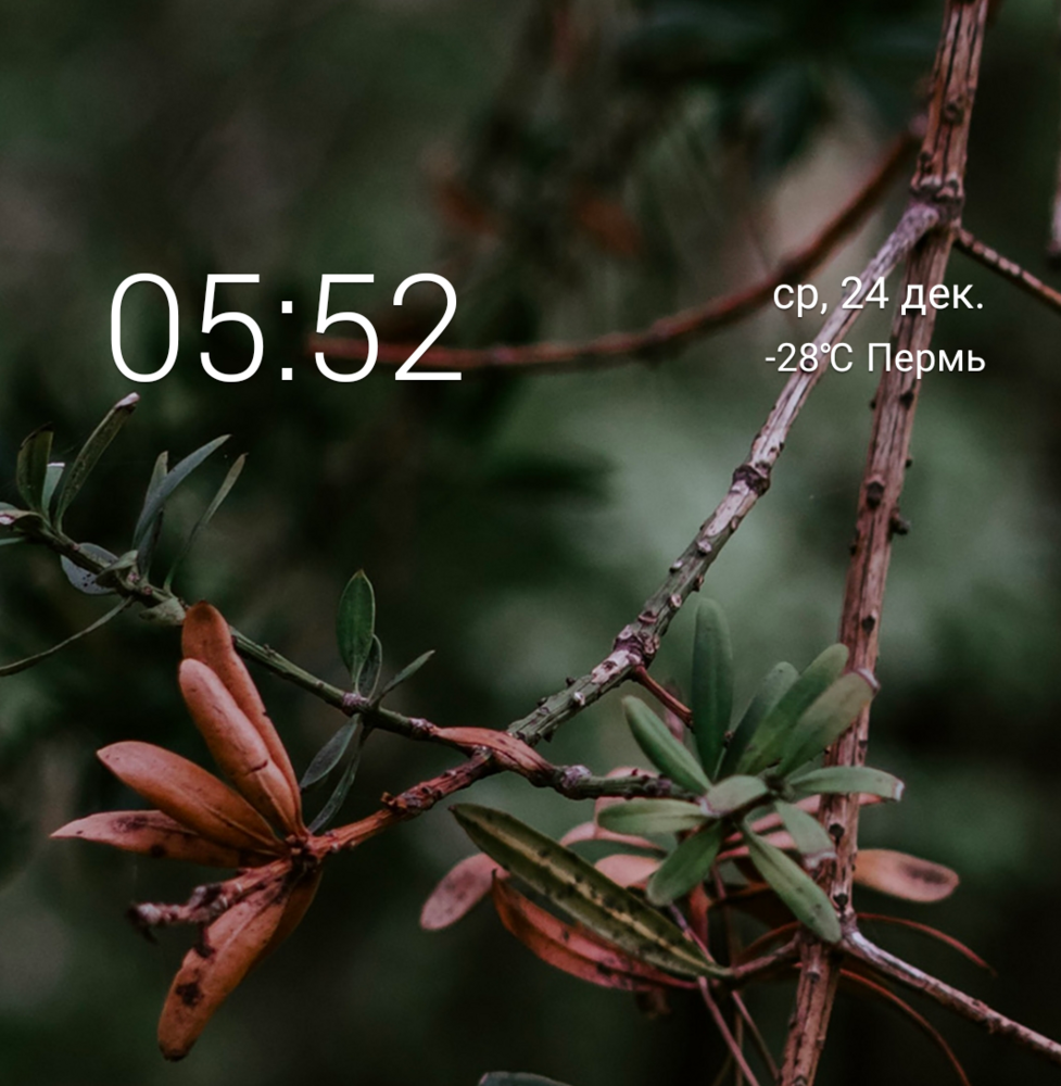 Screenshot_2025_1224_055240.png