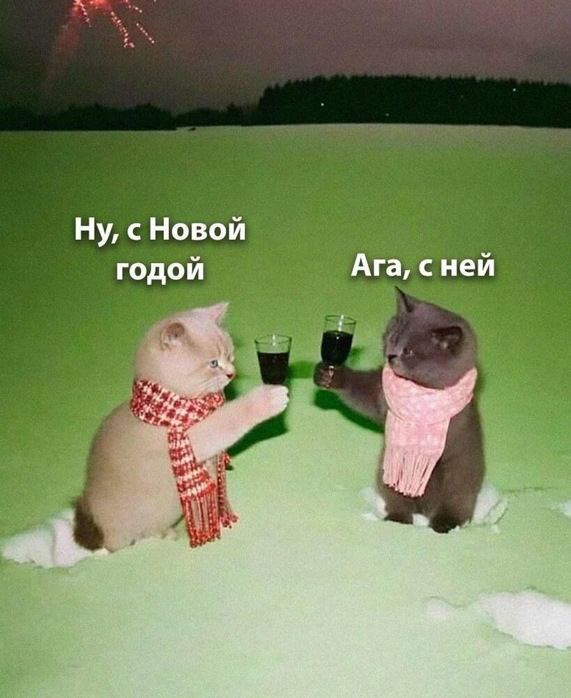 vJMYdSdyW3RJPne_cEcnw16BYN3X6mFh1G-dFcLxFe_c3qEhU02dN051doZ5cCwBVIi4JNdFRqGfbINvkWvHr1si.jpg