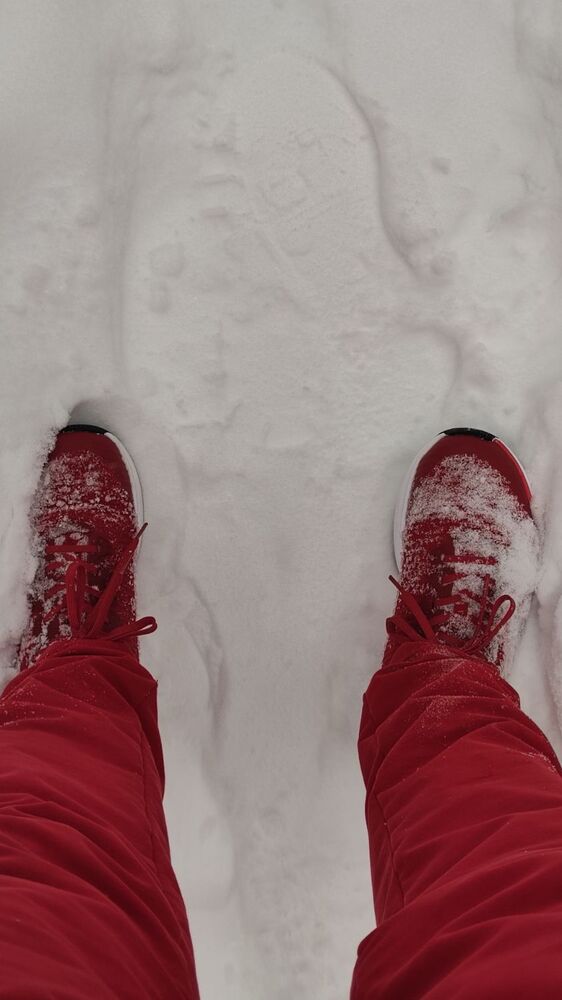 IMG_20260208_142314.jpg
