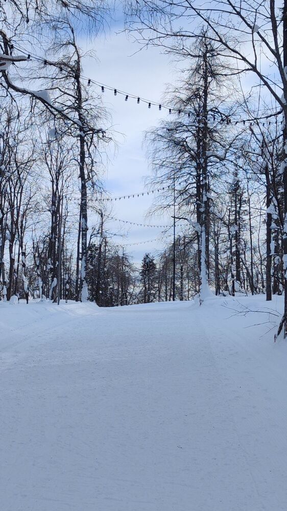 IMG_20260225_231817.jpg