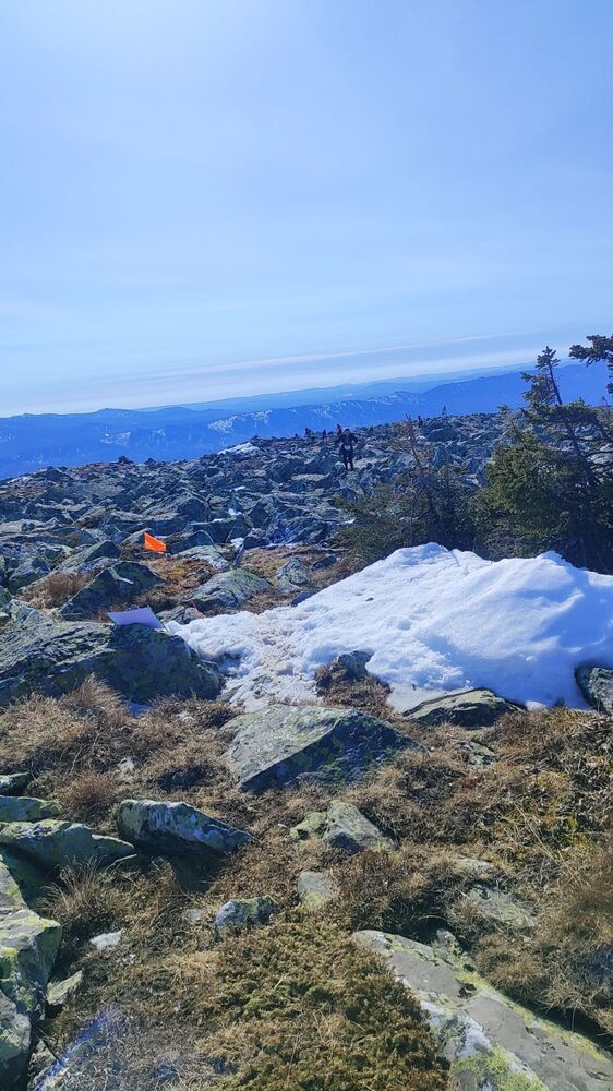 IMG_20260329_120134.jpg