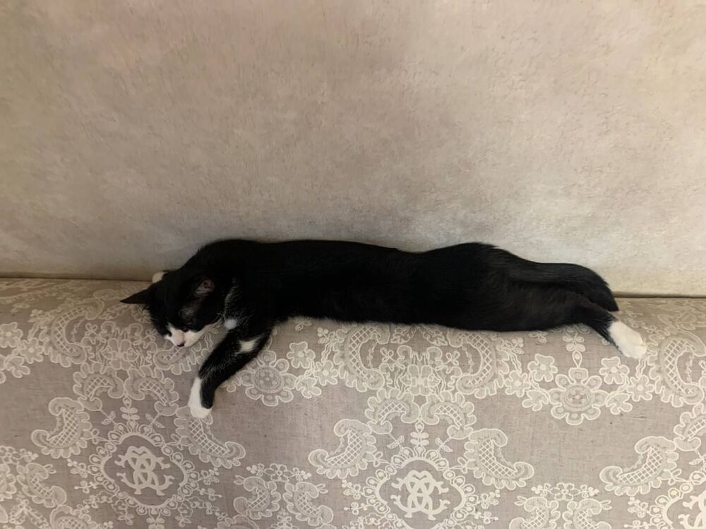 Пятница.jpg