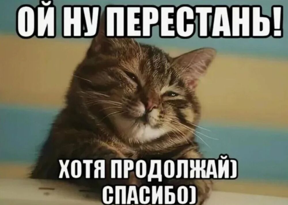 1213213123.jpg