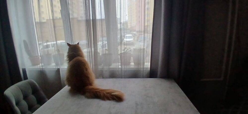 20260403_182438.jpg