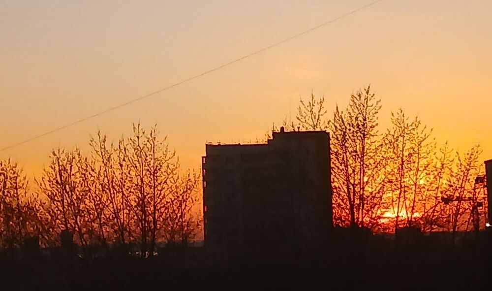 20260415_203157.jpg