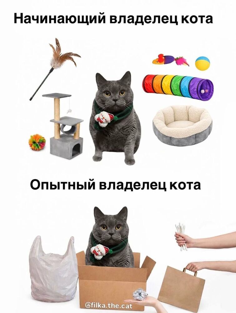 IMG_3866.jpeg