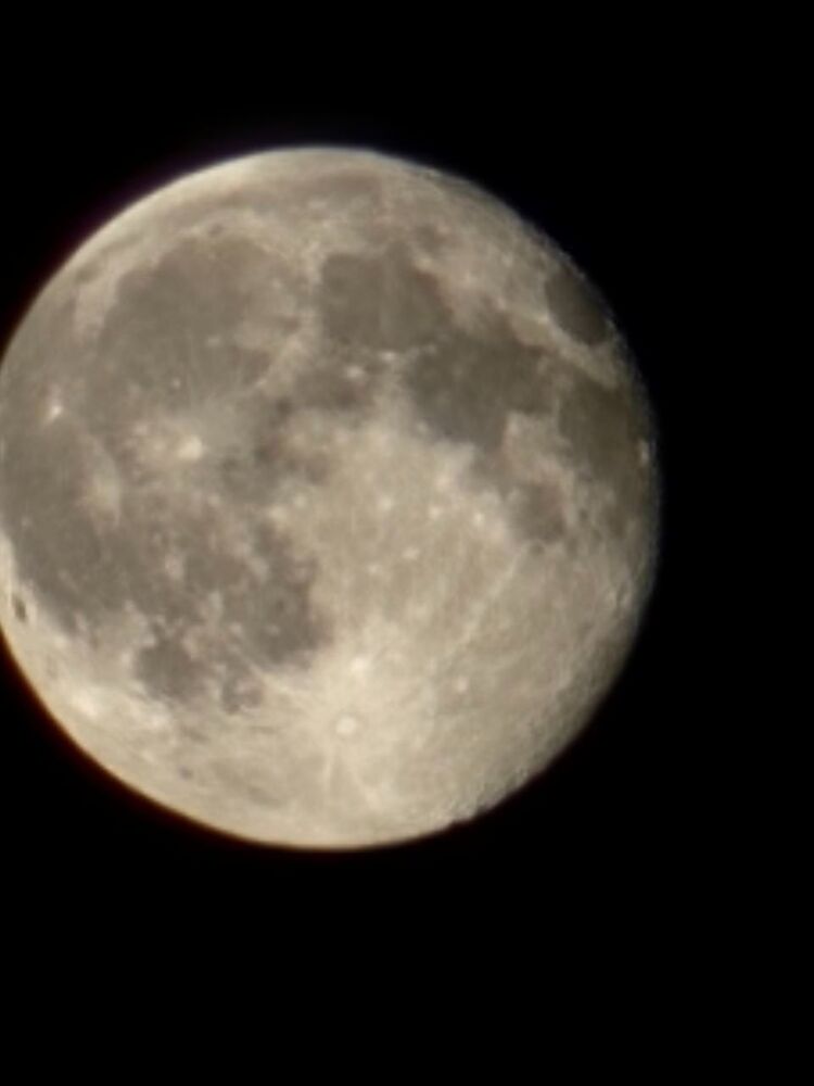 photo_2026-04-09_12-29-32.jpg