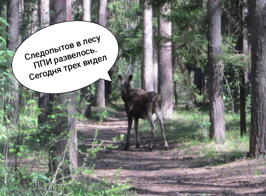 IMG_20260517_213012.png