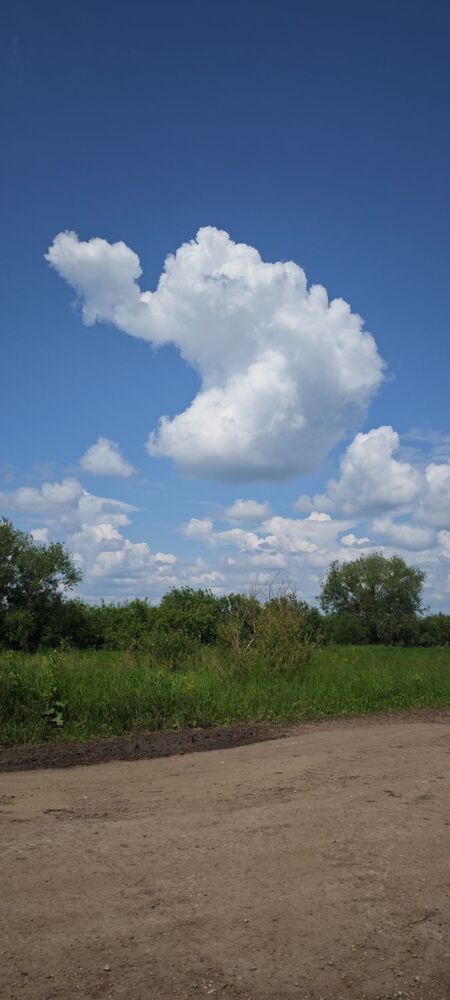 IMG_20260613_140732.jpg
