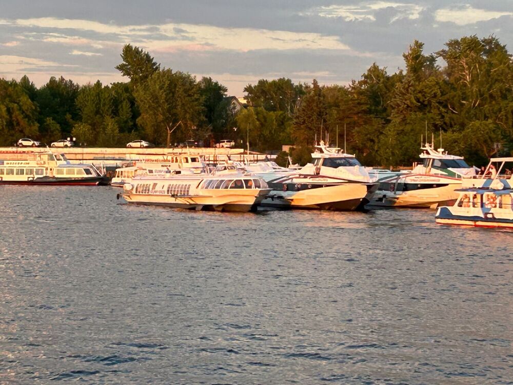 IMG_6040.jpeg