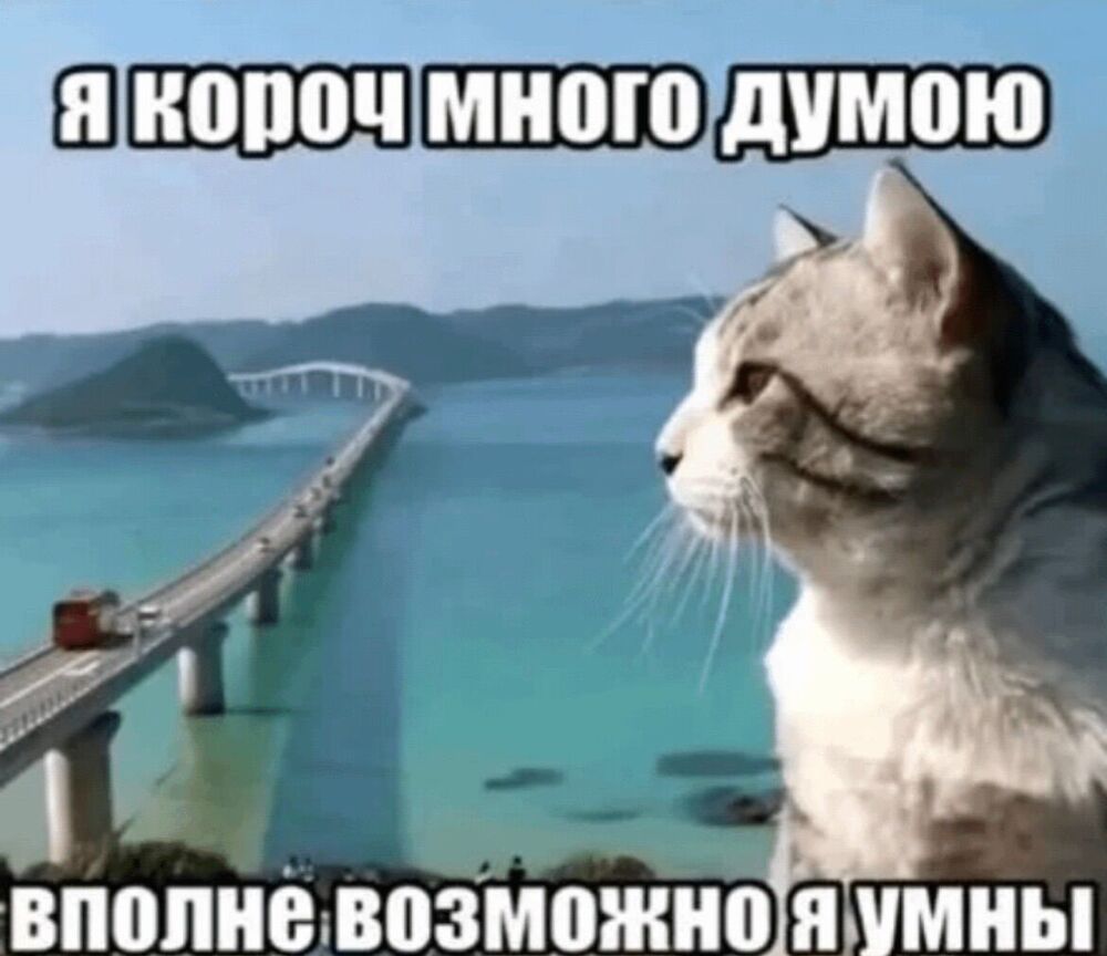 IMG_4021.jpeg
