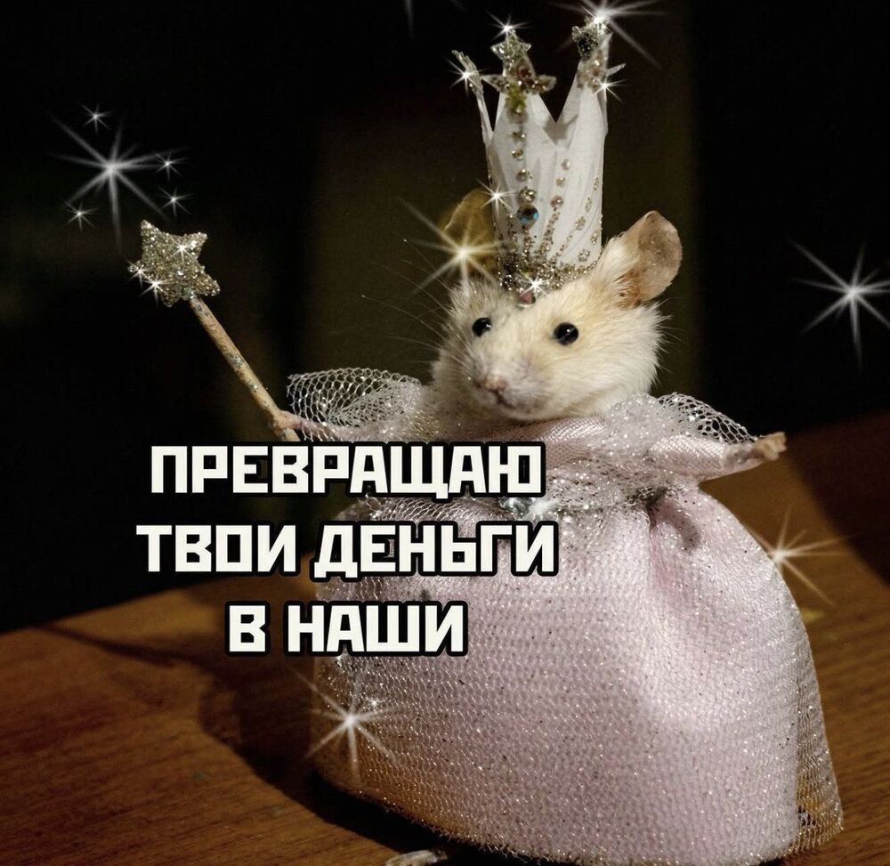 img_6305.jpg.00ba4dcb3460c804f816014befdbc7f4.jpg