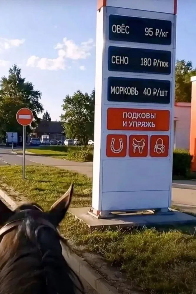 yVKRWBsOVnpA8Of1LDcDAcj88ZFhiBYtoEqJ1kL3skbr0Qjo5h3MIBW_v1cbMeXJS8cZBWeADj928N7IH2a0Y5f6.jpg