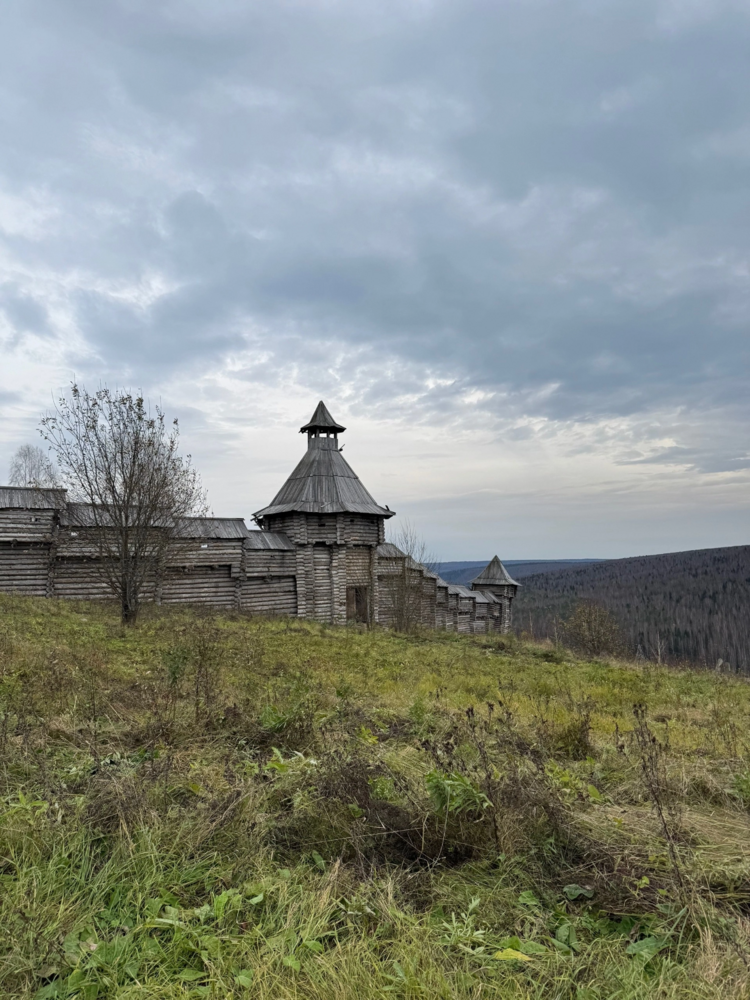 IMG_8794.png